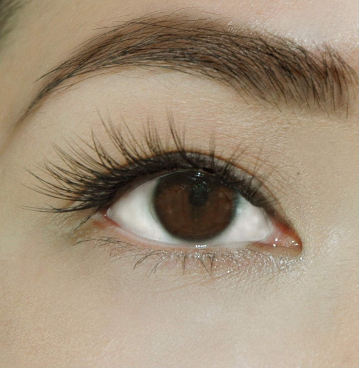 Spiked Flare No. 706